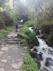 Camino Inca