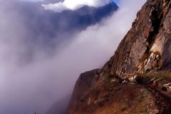 Camino Inca