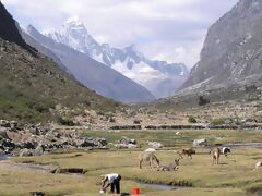 Salkantay
